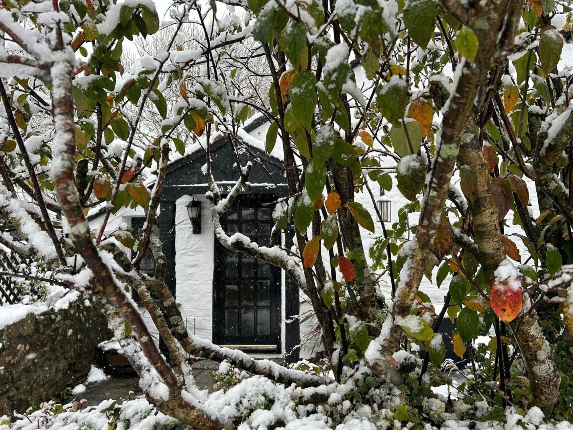 Hallagenna Cottages Bodmin Dış mekan fotoğraf
